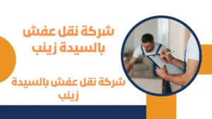 شركة نقل عفش بالسيدة زينب